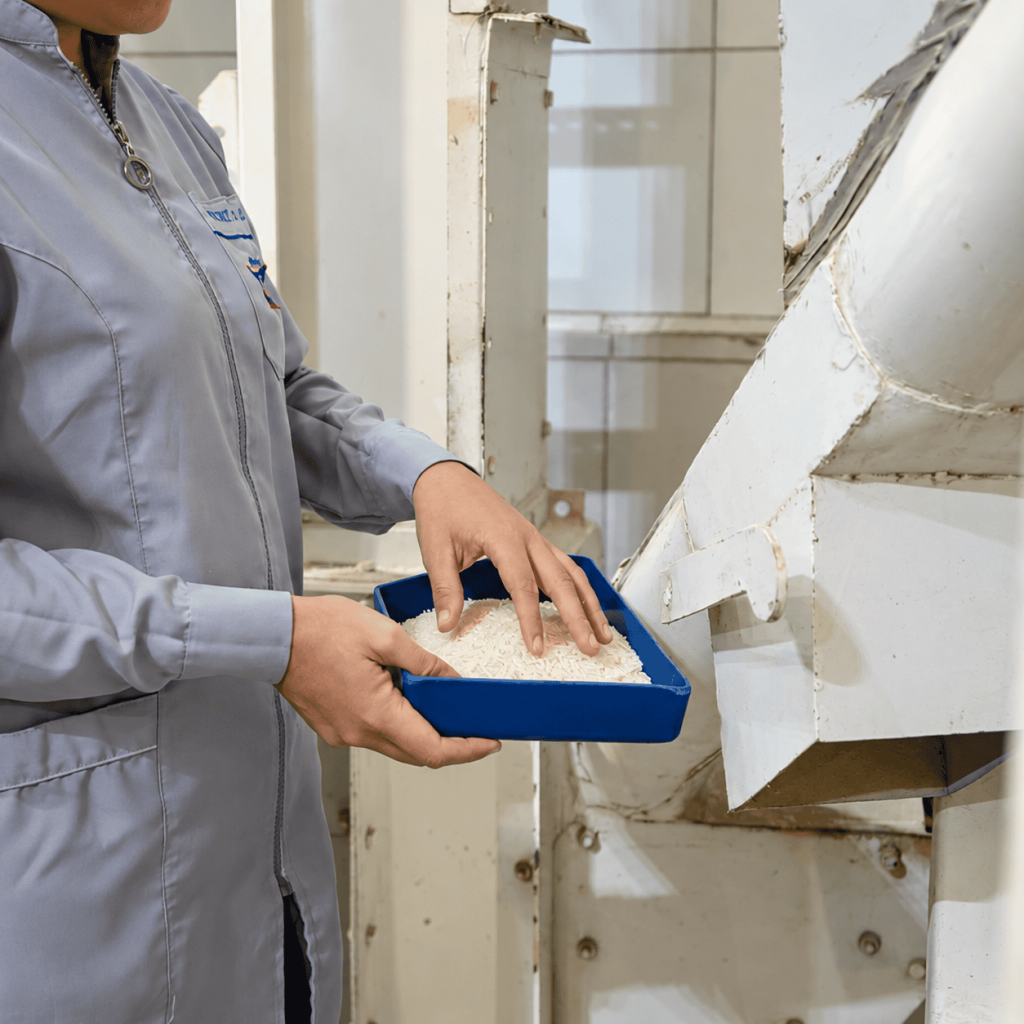 Quality control of rice samples